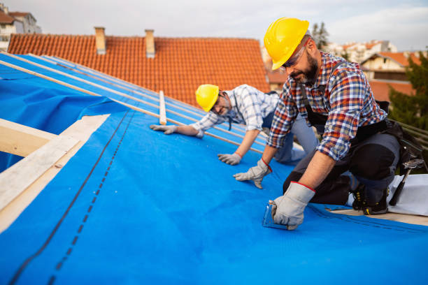 Quick and Trustworthy Emergency Roof Repair Services in Ralston, NE