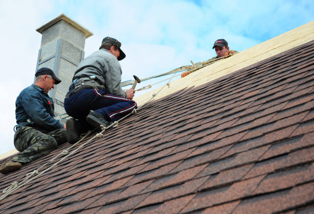 Tile Roofing Contractor in Ralston, NE